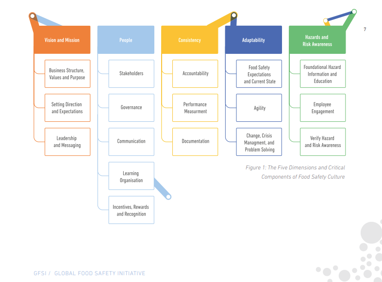GFSIFoodSafetyGrupDocument 1
