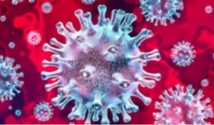 COVID 19 830x375 Blog 1 2