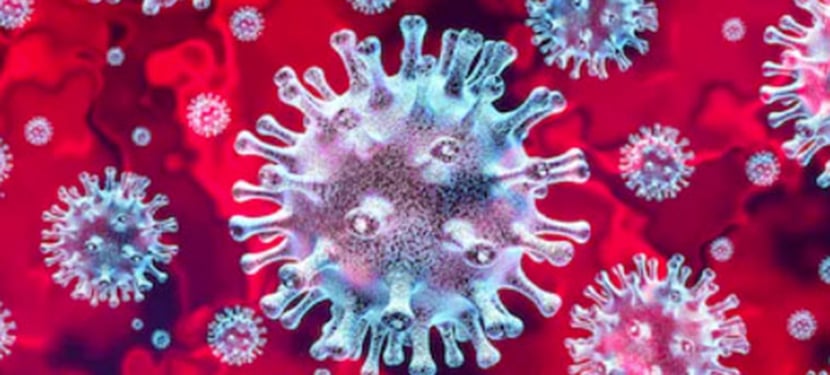 COVID 19 830x375 Blog 2