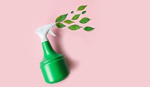 Green cleaning300x175 2