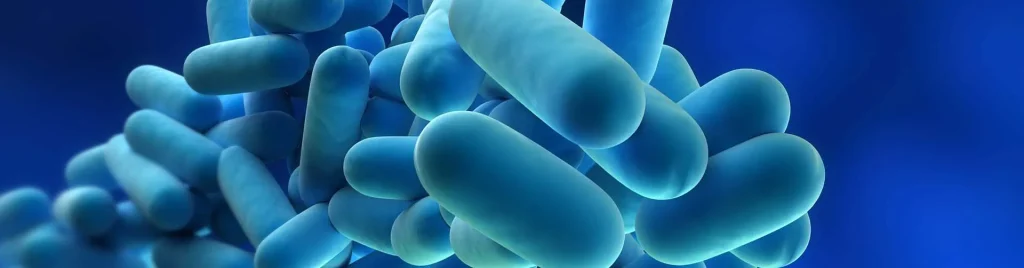 Legionella 1
