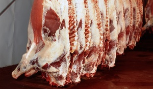 Meat and Poultry Processors